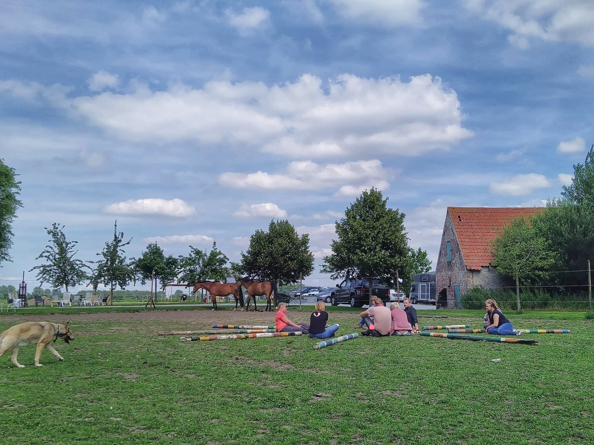 Paardencoaching-coachhoeve Chill out Z