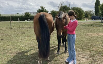 Het paard, de angst en het meisje.