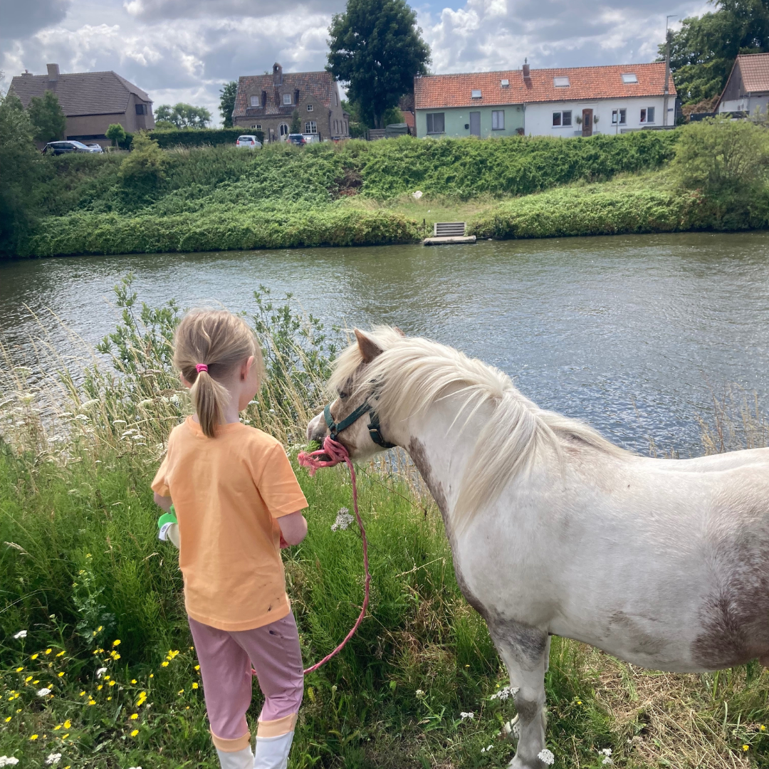ADHD - neurodiverse begeleiding België