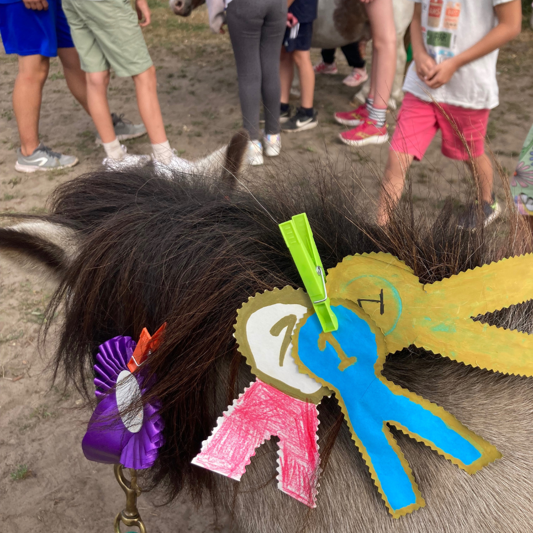 
Tijdens het “Kamp Hol met je Knol” ontdekken kinderen de kracht van talenten en complimenten om een positieve dopamine-boost te ervaren. Dit helpt kinderen met ADHD om zich beter te voelen, in tegenstelling tot de negatieve dopamine die ontstaat door bijvoorbeeld eindeloos scrollen op schermen.

Joke, die zelf ADHD en ASS heeft, deelt haar ervaringen en bemoedigt de kinderen. Hierdoor krijgen ze rust en voelen ze zich niet anders. Samen creëren ze een ondersteunende omgeving waar iedereen kan bloeien.
