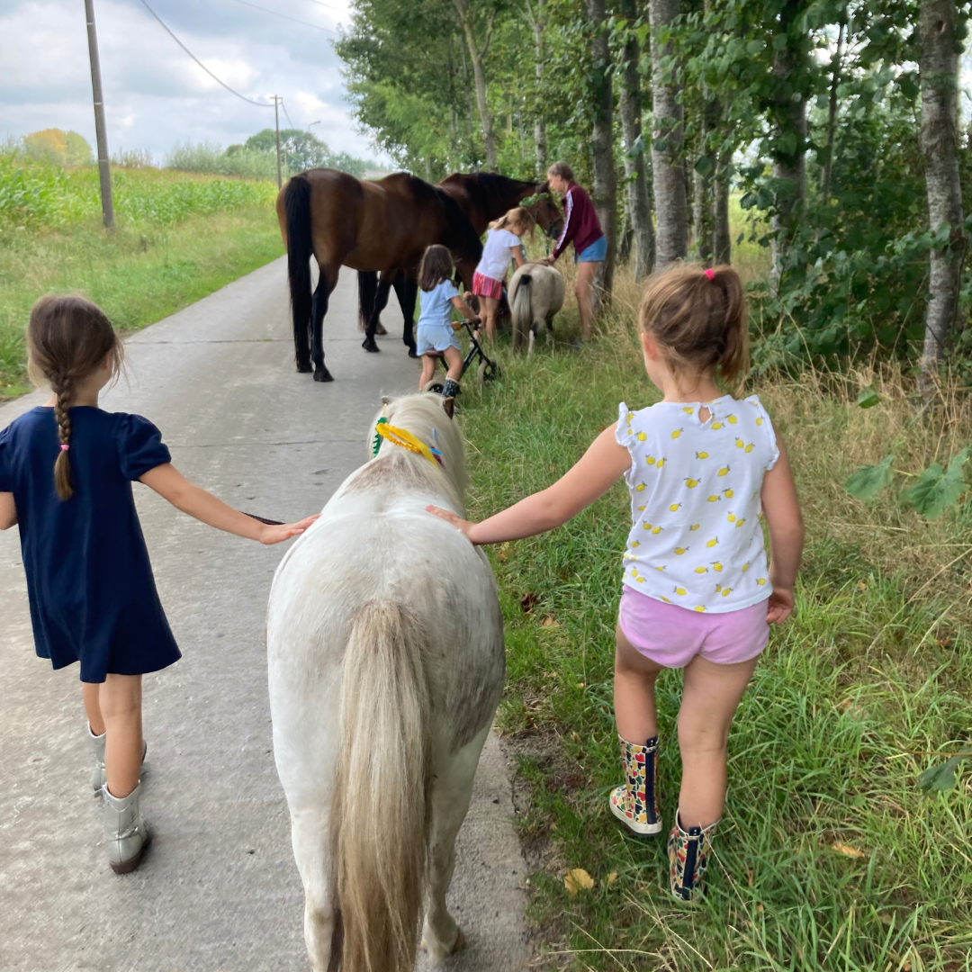 Tijdens het “kamp Hol met je knol” ontdekken kinderen de kracht van zelfvertrouwen en focus. Wanneer ze de pony sturen, ontwikkelen ze het vermogen om zich te concentreren. Je ziet twee meisjes met pony Witje wandelen; deze kleine successen versterken hun zelfvertrouwen en brengen rust in hun lichaam. Door het contact met de dieren en de ontspanning die dit met zich meebrengt, voelen ze zich meer op hun gemak en leren ze beter omgaan met uitdagingen.
