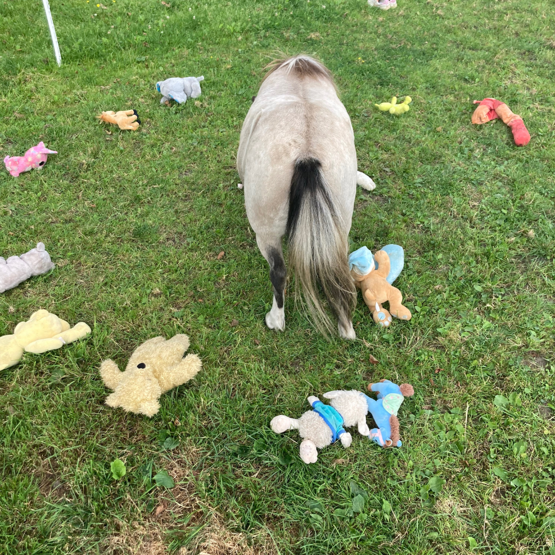 je ziet hoe te methode 'ik en mijn ikjes' kinderen en jongeren helpt om emoties te begrijpen en zo kleiner te maken 