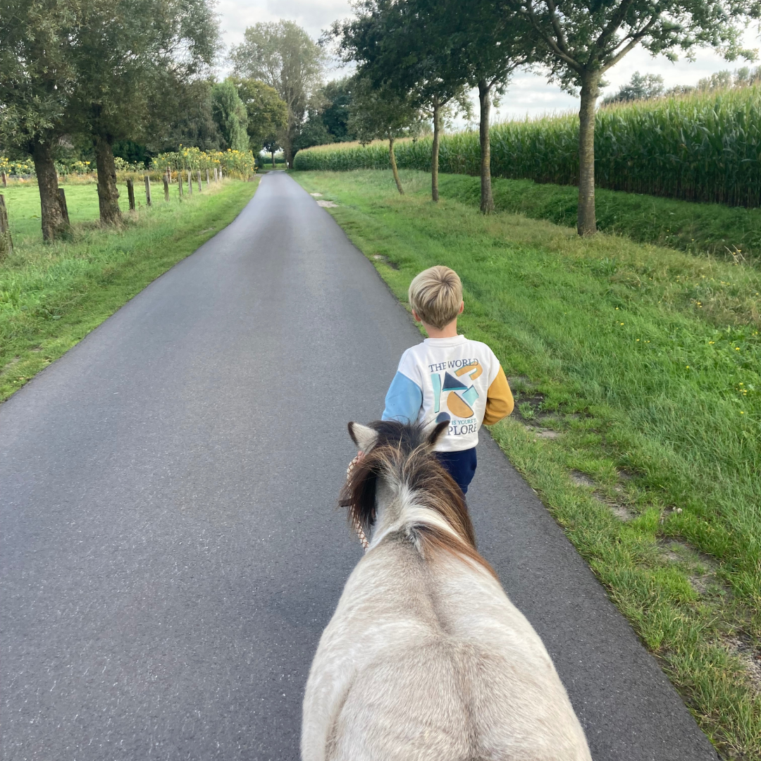 Een gezinstraject op maat voor gezinnen met ADHD, ASS en andere vormen van neurodiversiteit. Geen focus op “wat niet lukt”, maar op begrijpen wat er speelt, het herkennen van talenten in overdrive en het terugbrengen van rust en verbinding in jullie gezin. Je leert: Hoe gedrag te lezen als communicatie Wat jouw kind nodig heeft om tot rust en vertrouwen te komen Hoe je als ouder stevig én mild tegelijk kan zijn Wat helpt om uit strijd te stappen en weer samen te werken Dit traject is praktisch, warm en haalbaar binnen een druk gezinsleven. Kleine stappen, groot effect — voor jullie kind, voor jou als ouder, en voor het hele gezin.