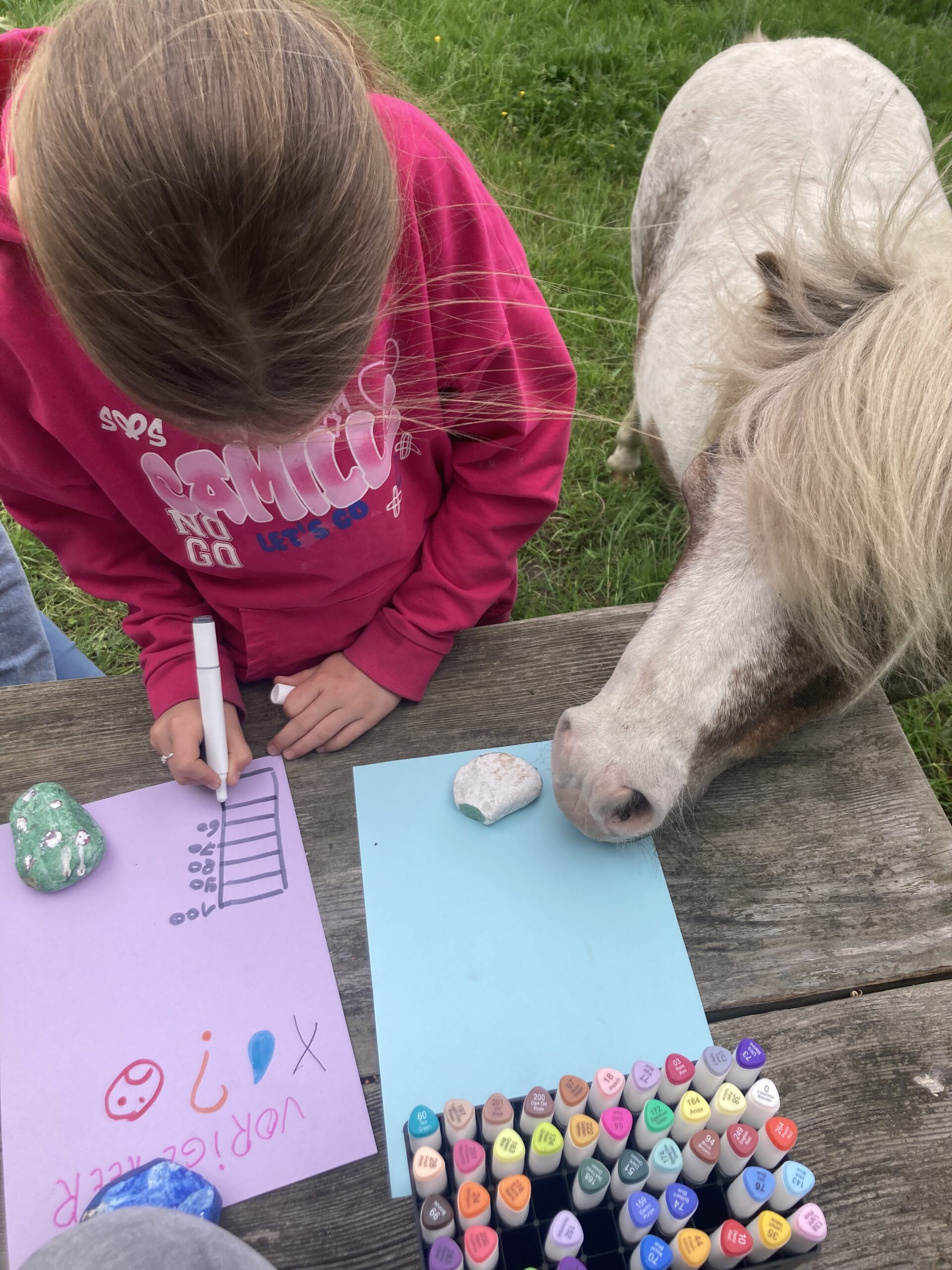 Hoe we met kinderen werken op de coachhoeve
