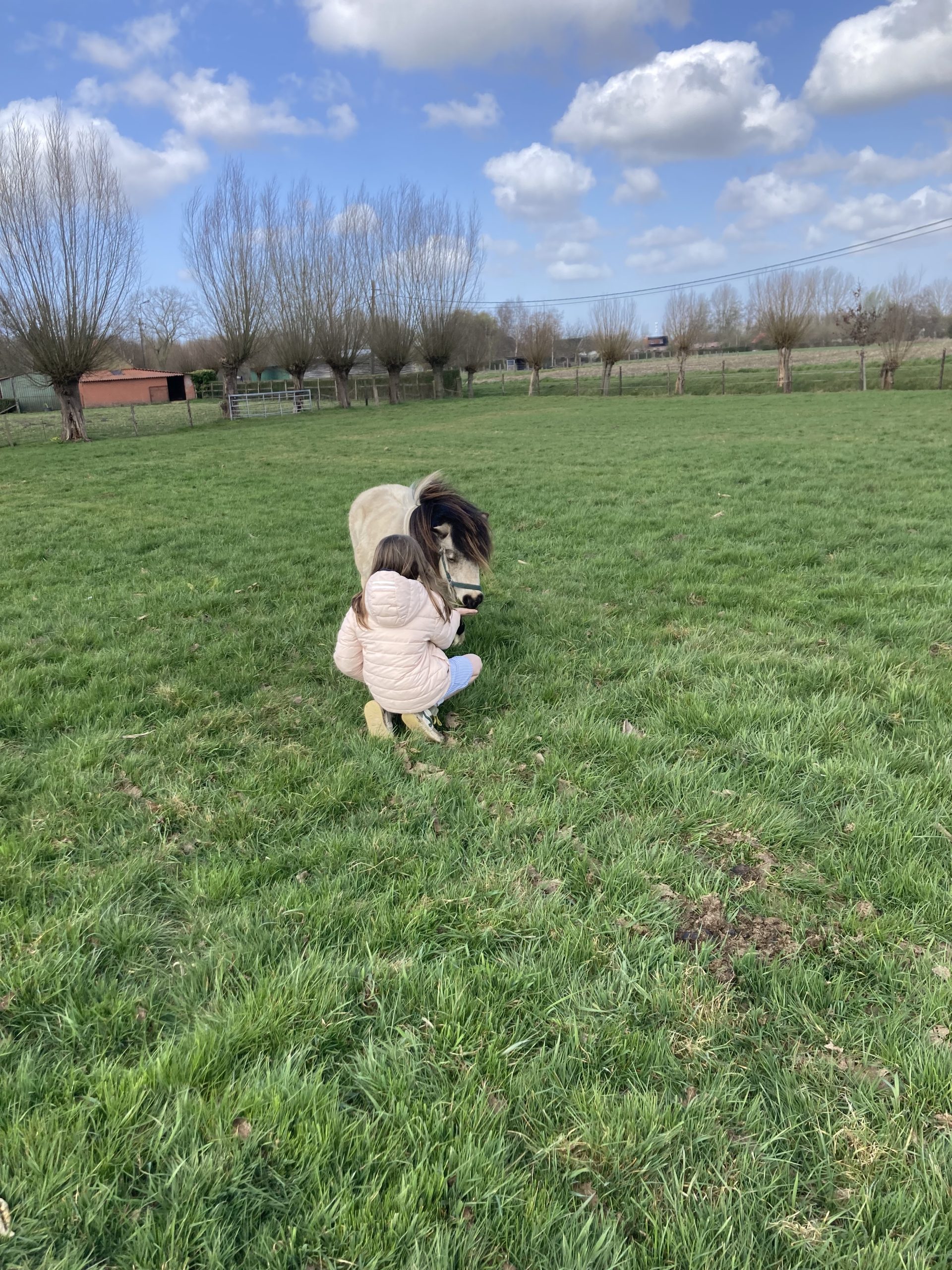 ADHD gezinscoach - coachhoeve