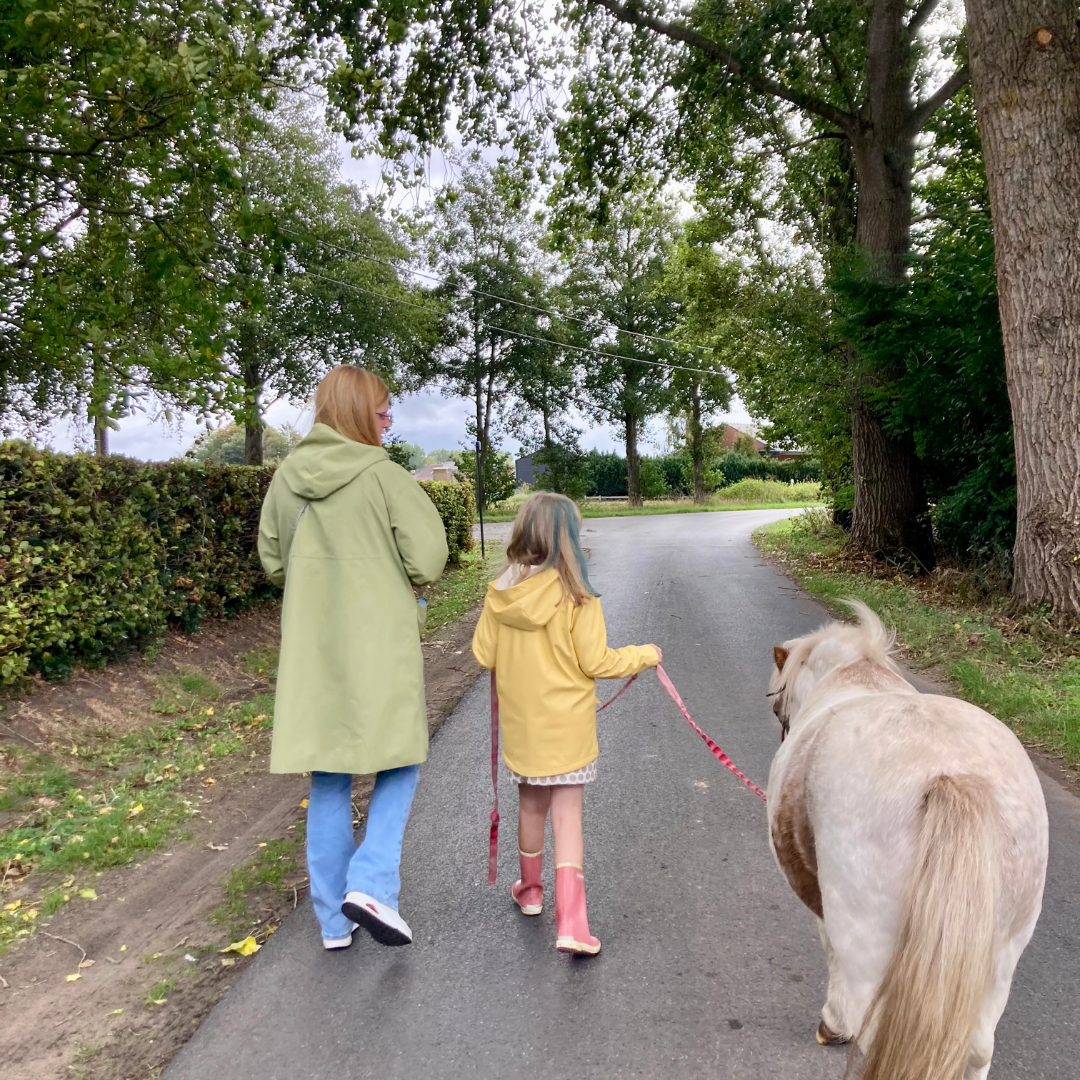 je kind pittig kind beter begrijpen zodat er terug rust komt in huis 