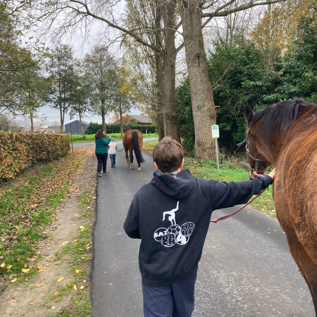 Neurodiverse gezinsbegeleiding voor gezinnen met ADHD en ASS