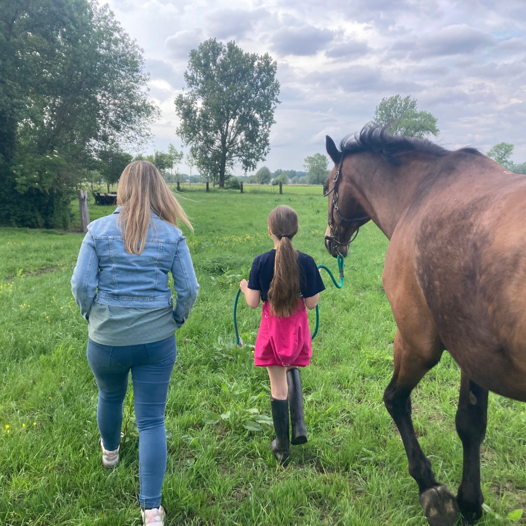 Ontdek hoe gezinscoaching met paarden rust en verbinding brengt in gezinnen met ADHD en ASS.-2