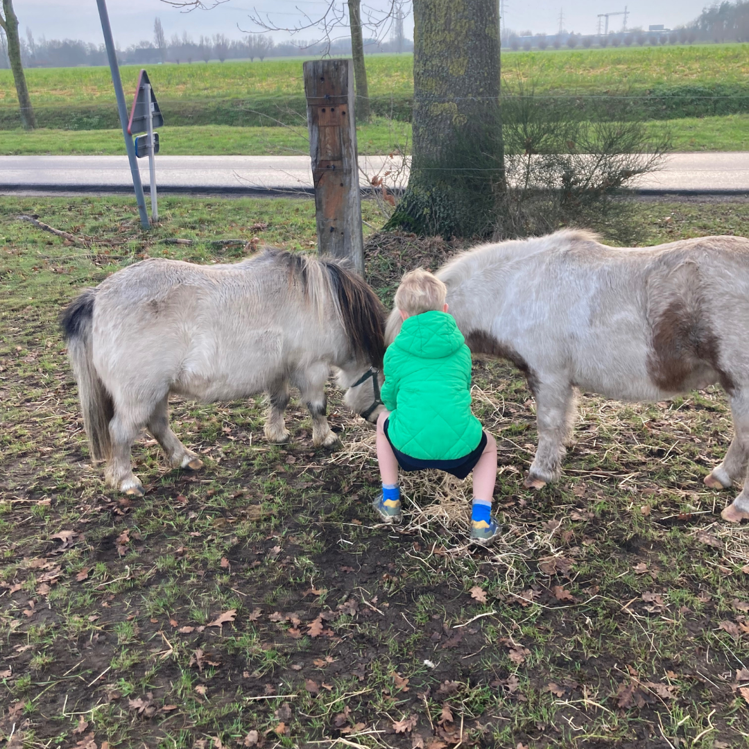 Van overleven naar leven met adhd -ass