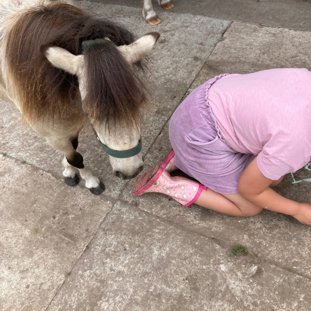 door te werken met pony's op de coachhoeve leren kinderen vertragen, zodat ze hun lichaam beter onder controle krijgen en hun emoties