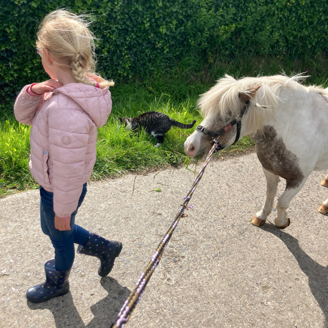 je ziet een kind van 7 met ADHD -ass met de pony Witje wandelen om te leren vertragen