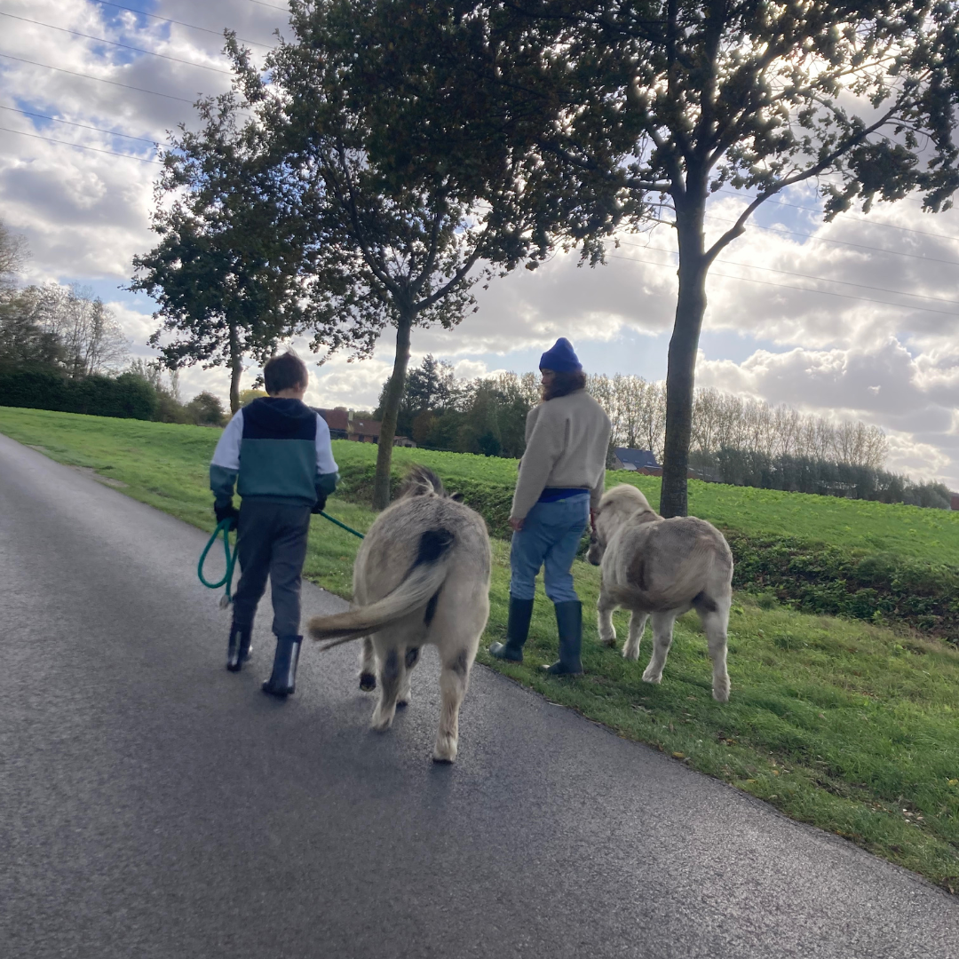 ouder-kind retraite voor pittige kinderen of kinderen met ADHD -ass