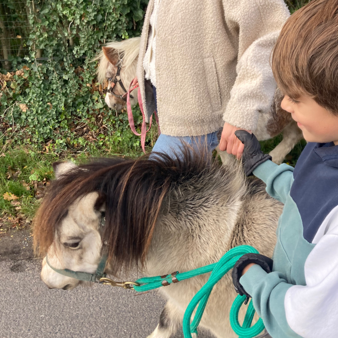 samen met jouw kind met adhd verbinden op de ouder-kind retraite te Ursel. In de natuur en met paarden 