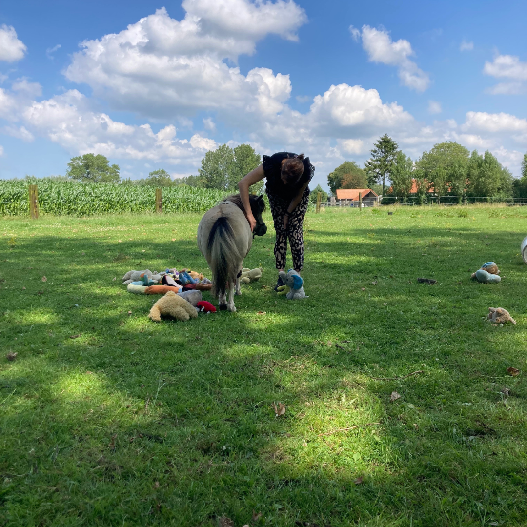 systemisch werk met paarden voor ouders