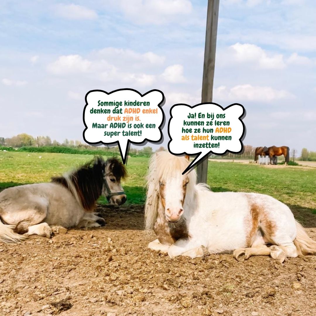 Afbeelding van retraite die focus legt op rust, ontspanning en praktische tips voor thuis bij ADH