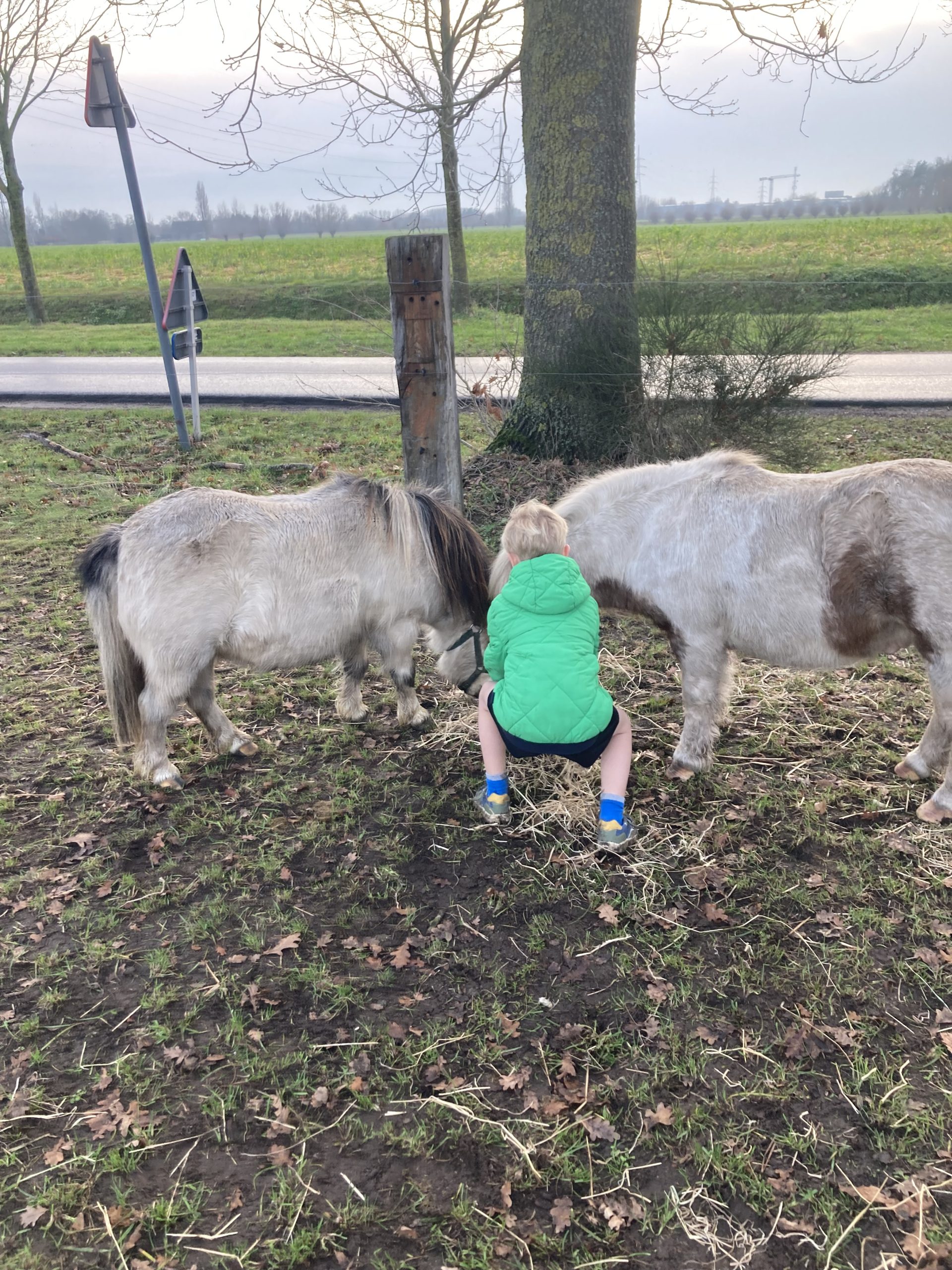 ADHD gezinscoach - coachhoeve