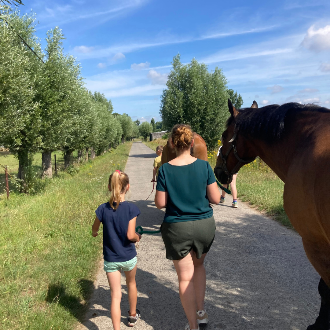 Mama en kind wandelen samen met paarden tijdens een ouder-kind retraite voor gezinnen met ADHD en ASS in de natuur bij Coachhoeve.