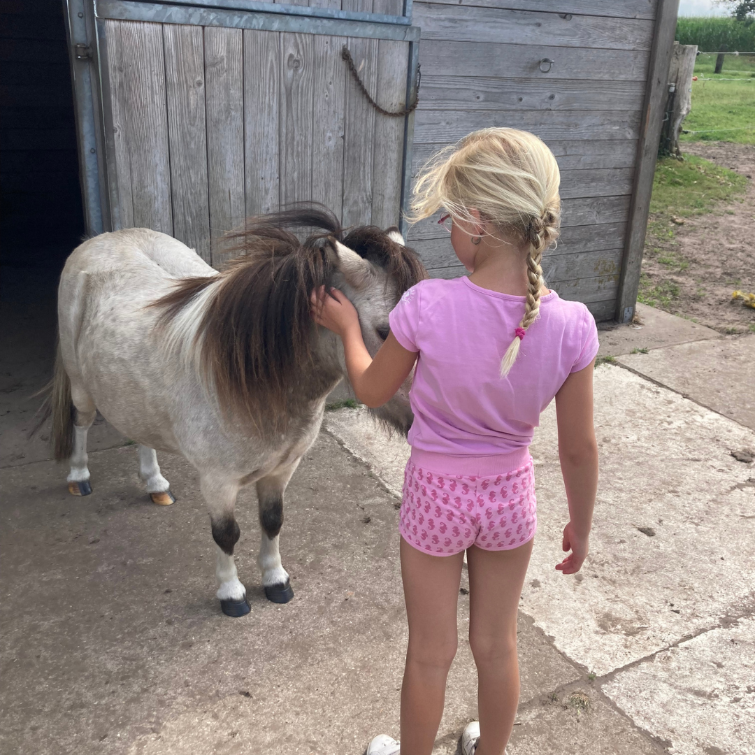 meisje met ADHD bij pony tijdens gezinscoaching met paarden in België