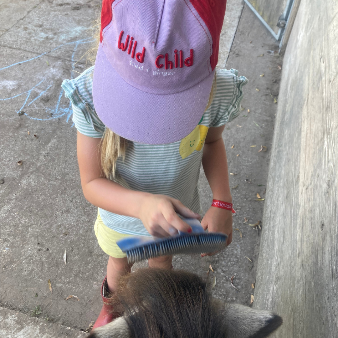 meisje met ADHD borstelt pony tijdens paardencoaching voor rust en zelfvertrouwen