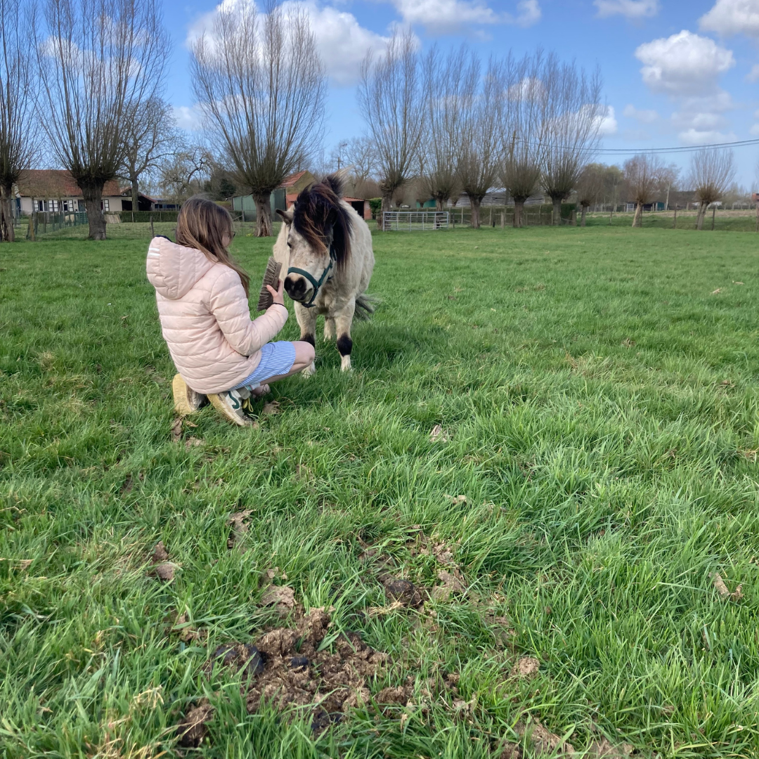 Meisje met ADHD vindt rust en vertrouwen bij pony tijdens coaching in België