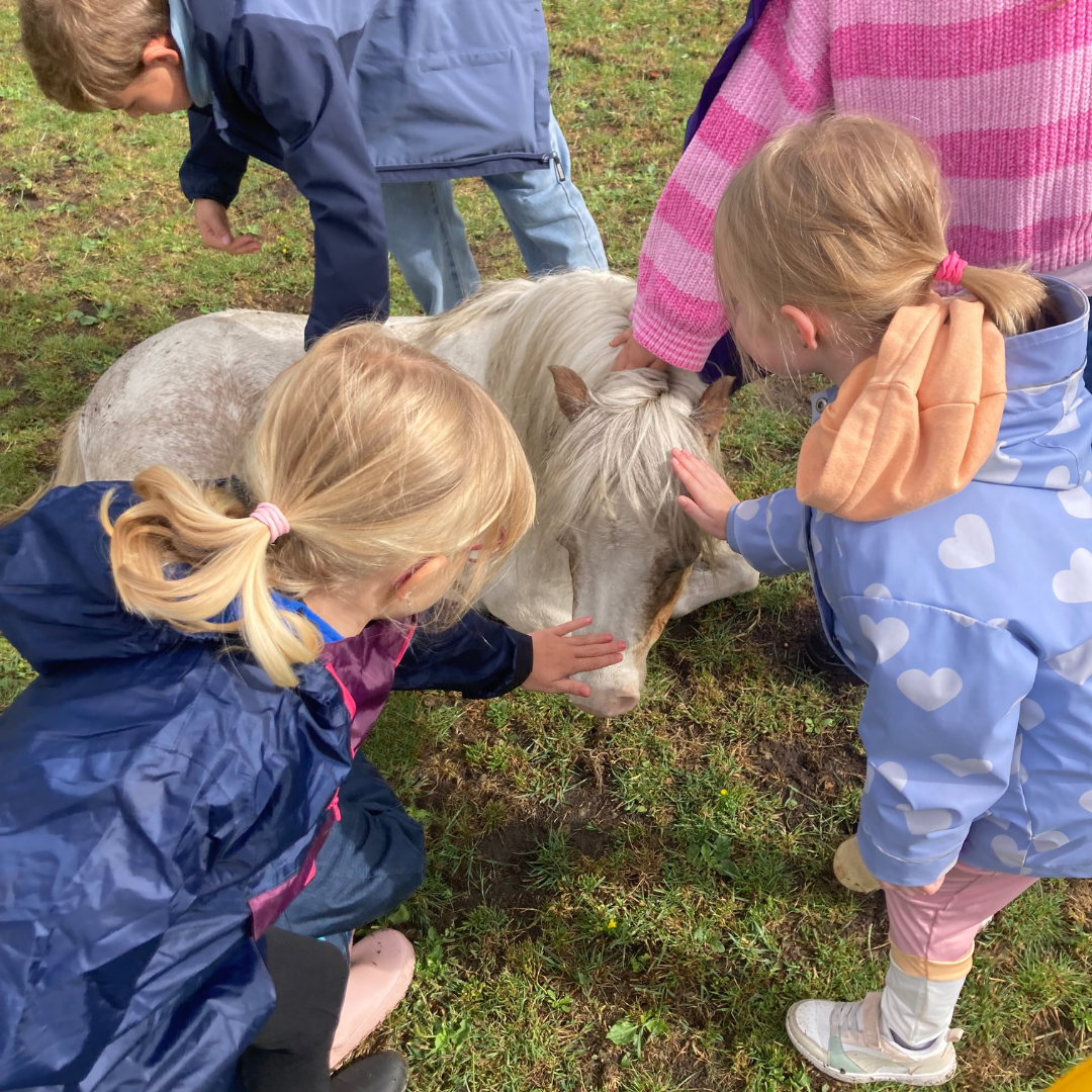 Natuur en paardencoaching helpen kinderen met ADHD rust en ontspanning voelen