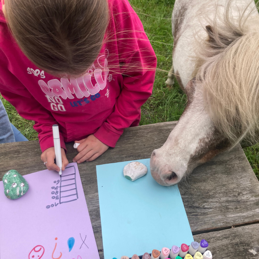 kind met ADHD werkt samen met pony tijdens paardencoaching om focus en rust te oefenen