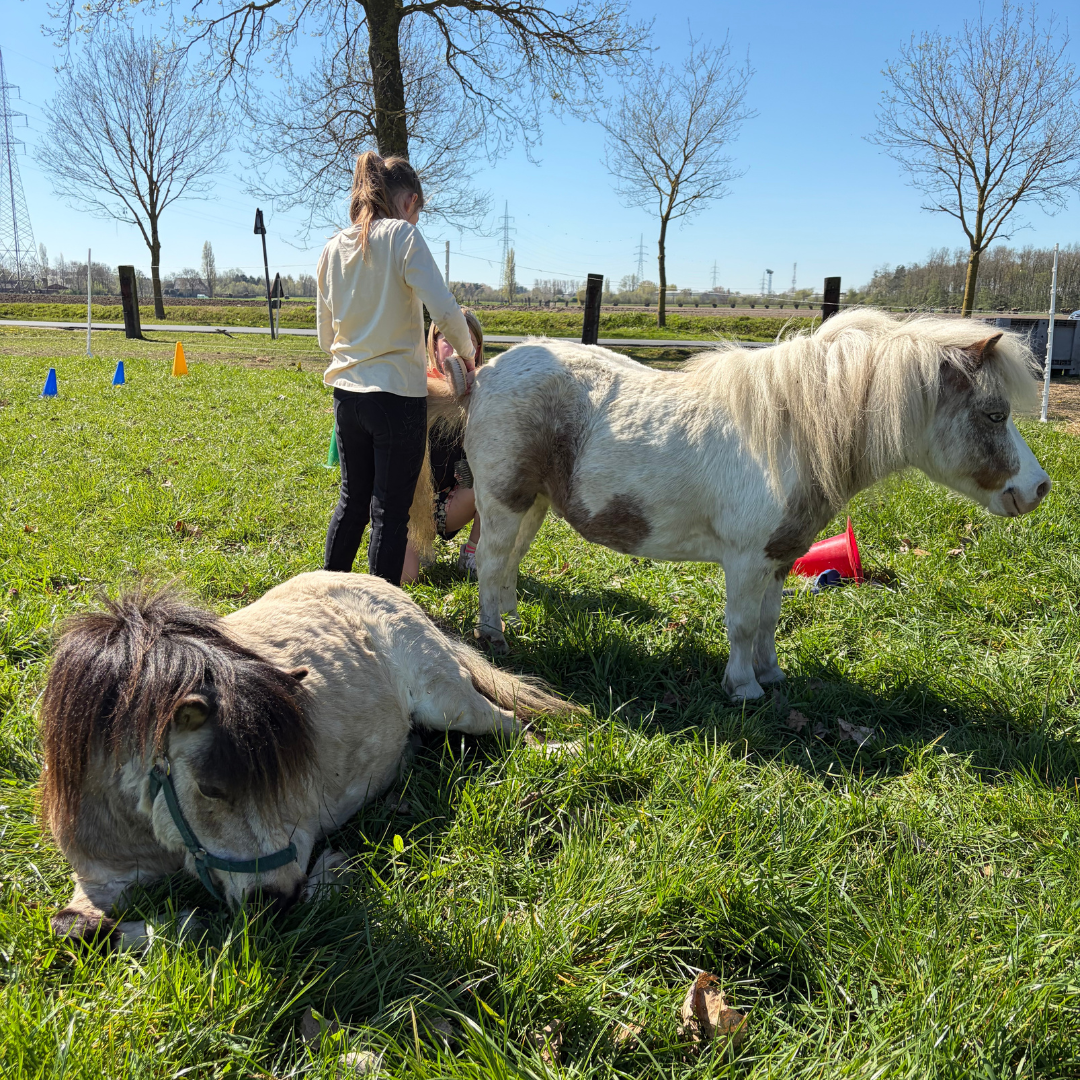Kind met ADHD tijdens paardencoaching voor meer rust en verbinding thuis