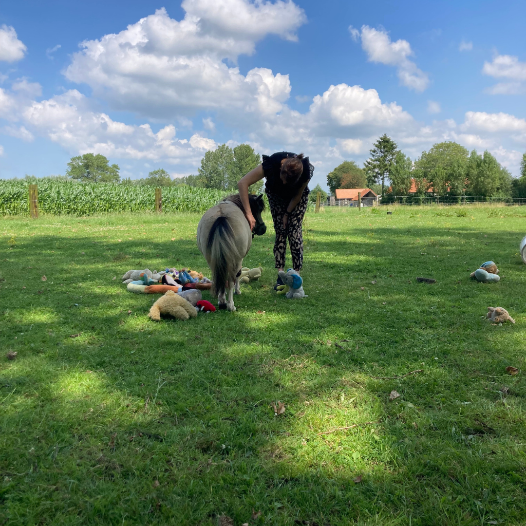 Ouder-kind retraite met paarden in de natuur voor gezinnen met ADHD en ASS, gericht op rust, verbinding en vertrouwen.