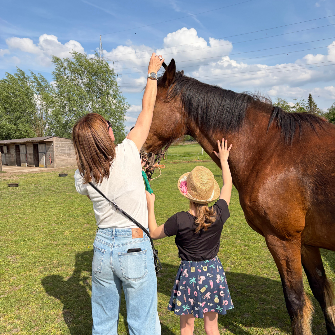 paardencoaching ADHD
